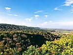 IMG_3647