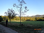 DSC03322
