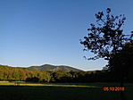 DSC03323