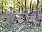 DSC03369