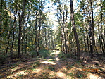 DSC03374