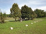Vörsi Kis-Balaton és Betlehem-2
