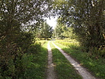 Vörsi Kis-Balaton és Betlehem-1