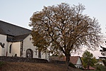 4496_GCPaTe_06