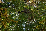 _DSC6166