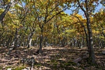 _DSC6172