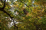_DSC6170