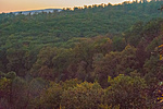 _DSC6223