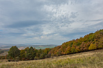 _DSC6337