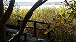 IMG_20181014_132149
