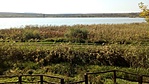 IMG_20181014_131732