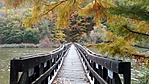 IMG_20181021_125601