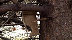 IMG_20181021_124558