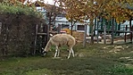 IMG_20181021_161316