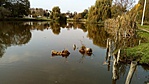IMG_20181022_142053