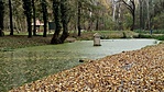 IMG_20181022_142555