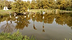 IMG_20181022_143257
