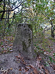 Határkó