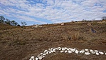 DSC_3617[1]
