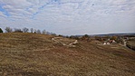 DSC_3615[1]