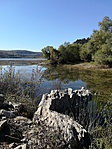 IMG_20181005_122003
