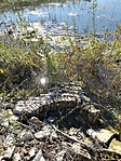 IMG_20181005_122053