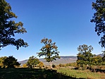 IMG_20181006_101239