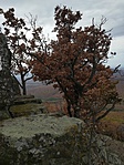 IMG_20181028_105040
