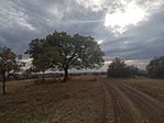 IMG_20181028_134257