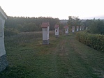 DSC00239