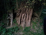 DSC00235