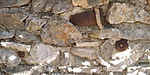 20181022_103325