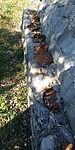 20181022_122626