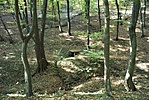 DSC00010
