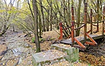 gcsf01-DSC07641