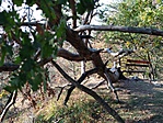 IMG_20181020_154808