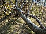 IMG_20181020_155202