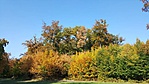 20181013_143741