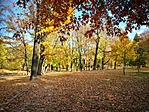 IMG_20181022_141301