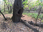 20181022_134633913_iOS