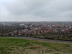 Nagyvárad