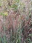 IMG_20181016_150139
