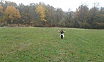 20181030_091928
