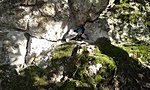 20181030_141920