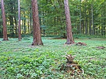 20180930_151144