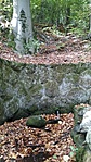 IMG_20181017_141849