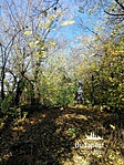 IMG_20181029_104651