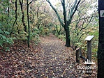 IMG_20181030_105750