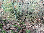 IMG_20181030_113212