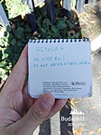 IMG_20181030_131031
